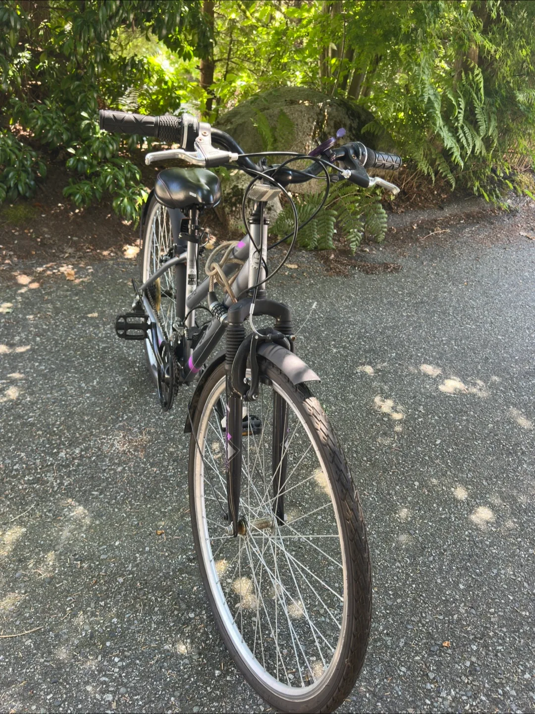 Supercycle  Cruiser Bike - Silver thumbnail