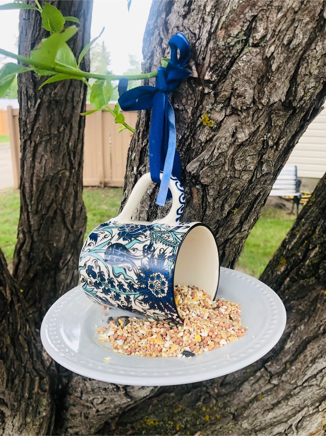 🇨🇦 Handcrafted Turkish Mug Bird Feeder thumbnail