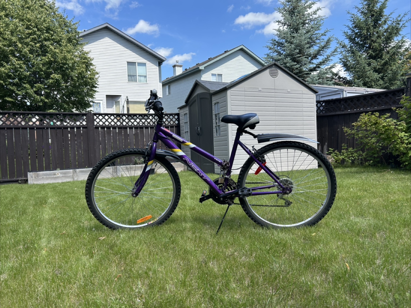 Next Challenger Purple Mountain Bike
