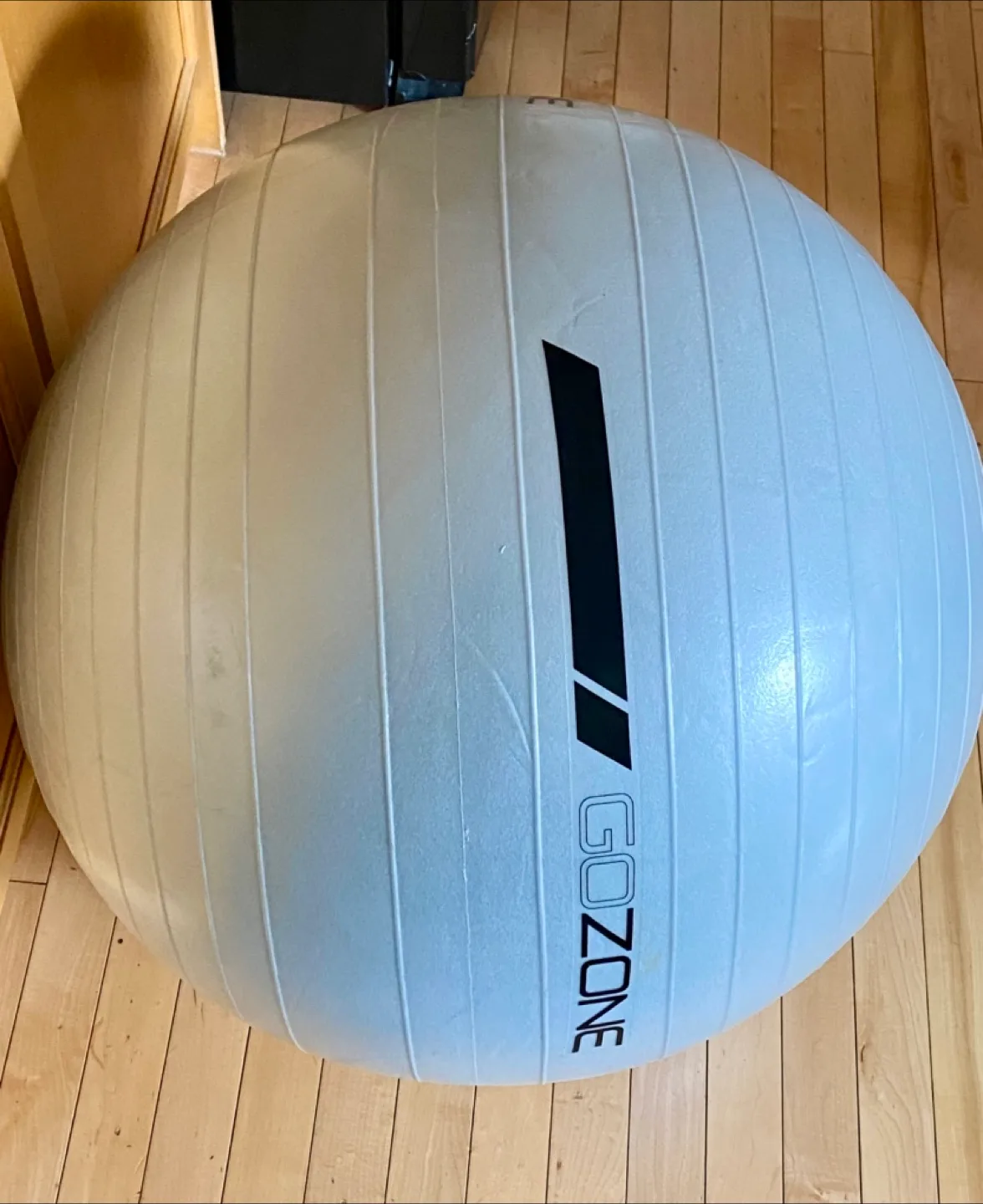 🍁GoZone Exercise Ball thumbnail
