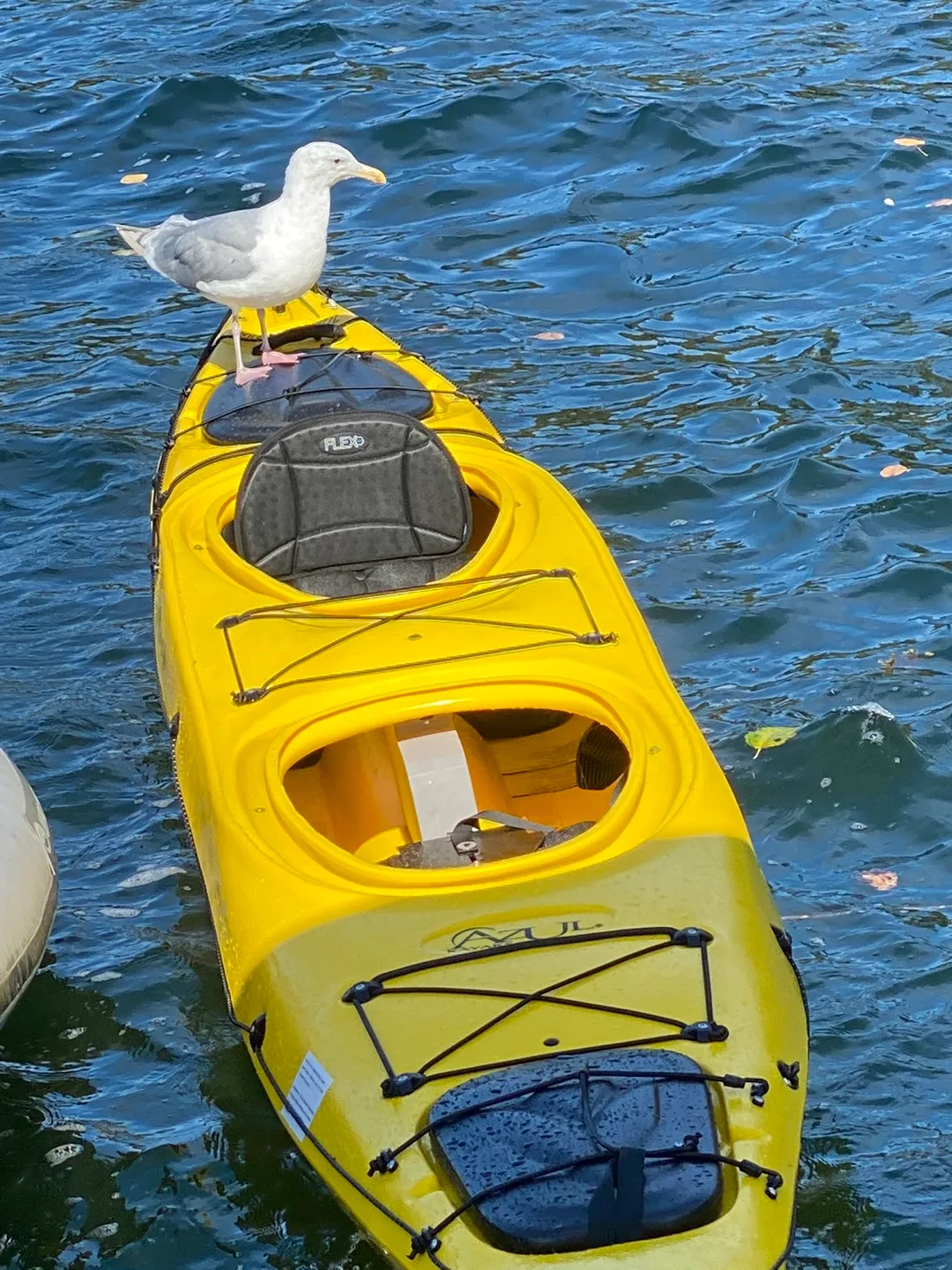 Yellow Perception Tandem Vista Kayak image indicator(2)