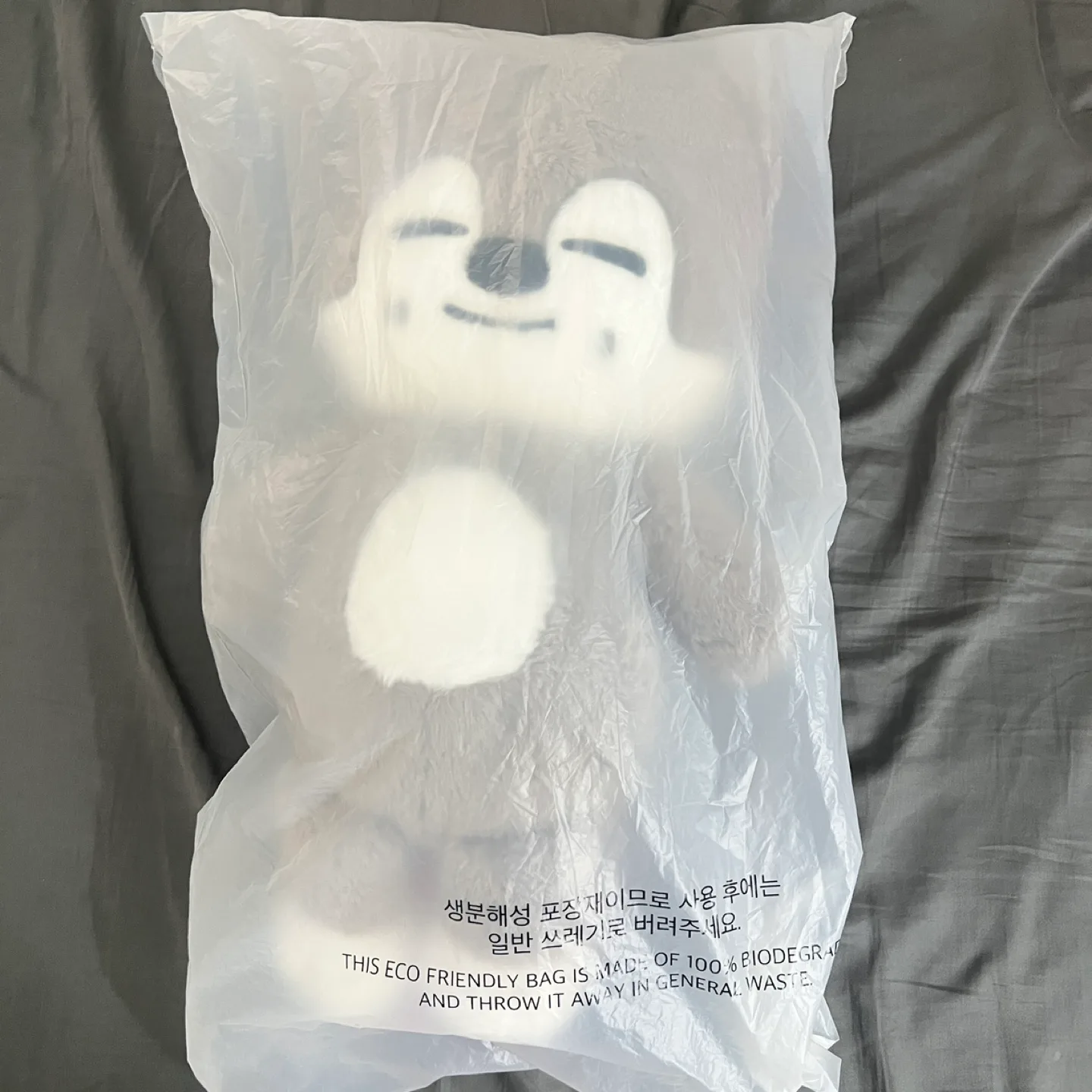 Wolf Chan Skzoo Teddy Bear w/ Passport Stray Kids thumbnail