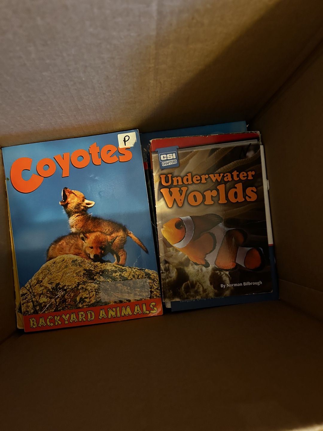 Kids' Educational Books - Assorted Titles