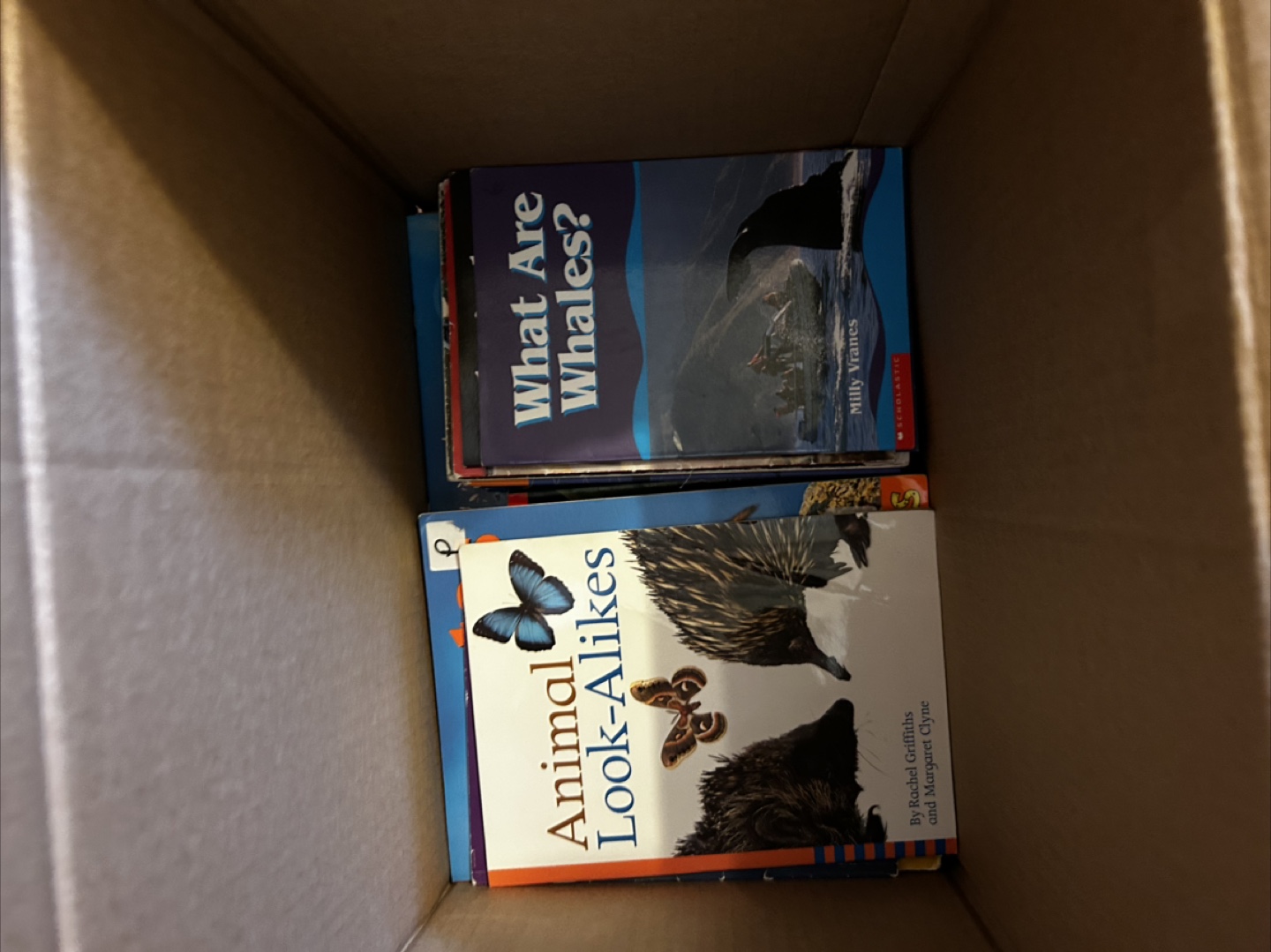 Kids' Educational Books - Assorted Titles - photo 3