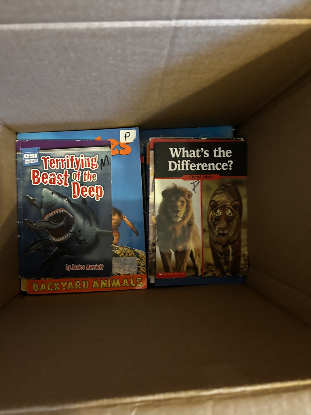 Kids' Educational Books - Assorted Titles - photo 2