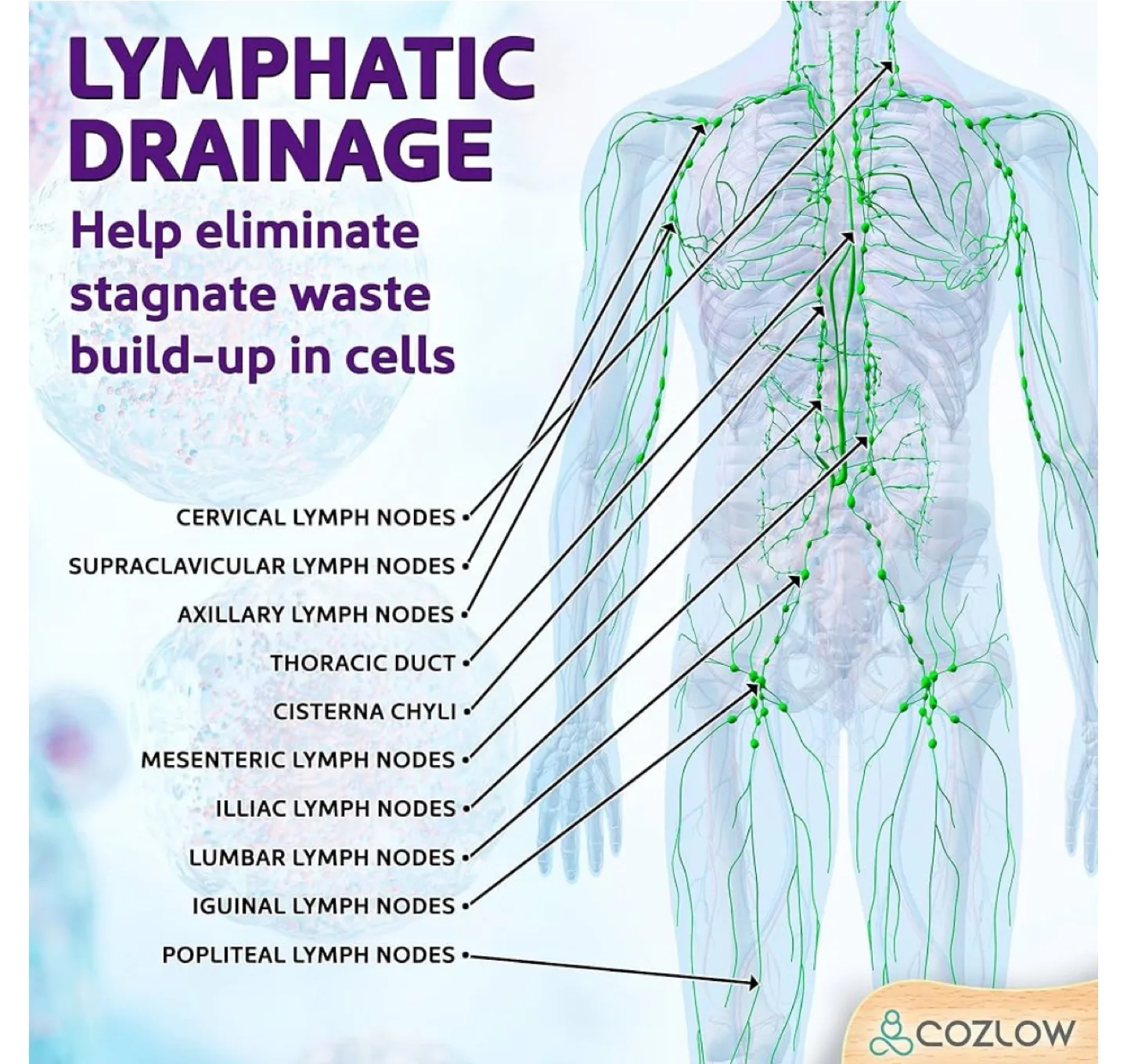 Cozlow Wood Massage Roller image indicator(5)
