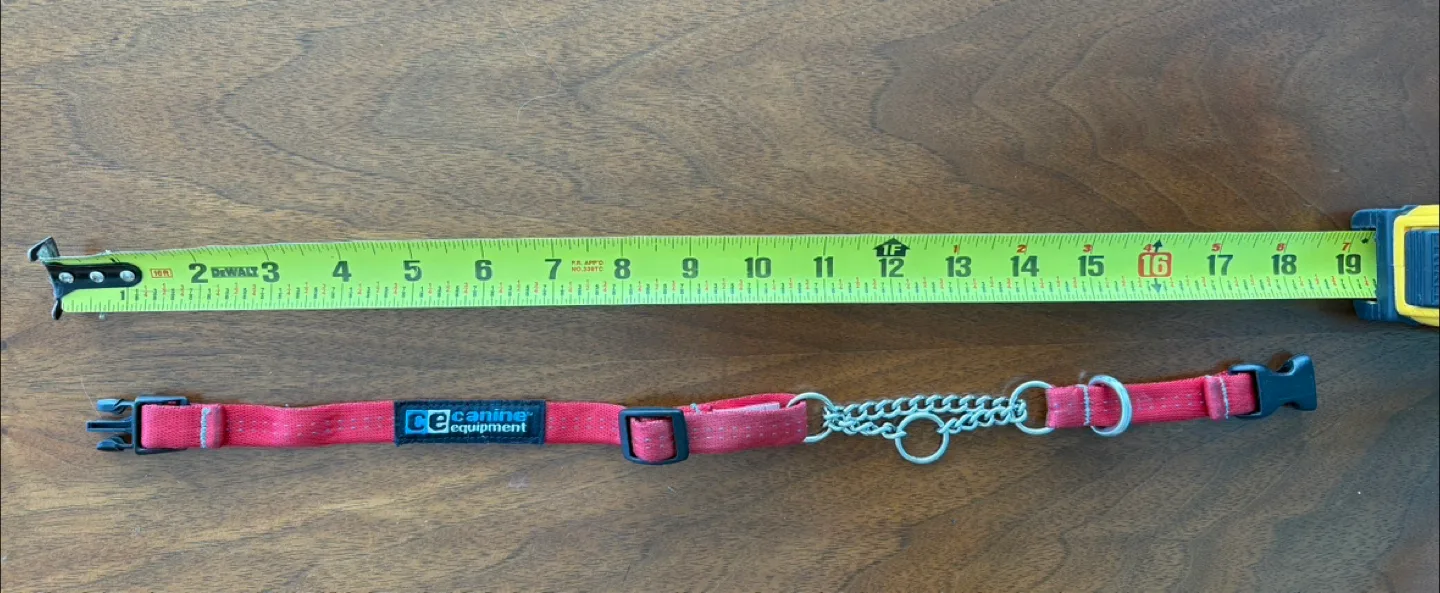 CE Canine Equipment Clip Martingale Dog Collar thumbnail