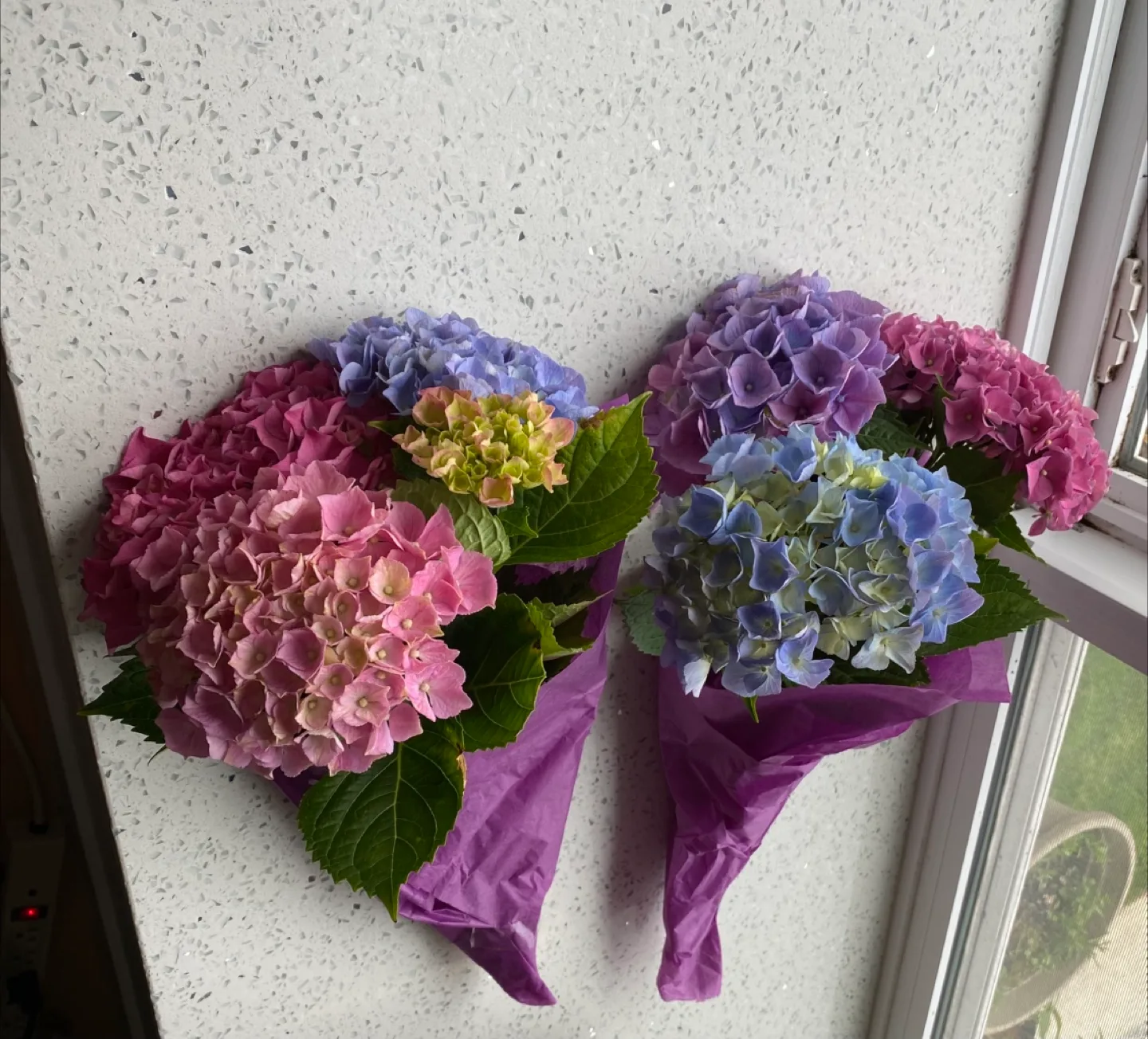 🍁Hydrangea flower stems thumbnail
