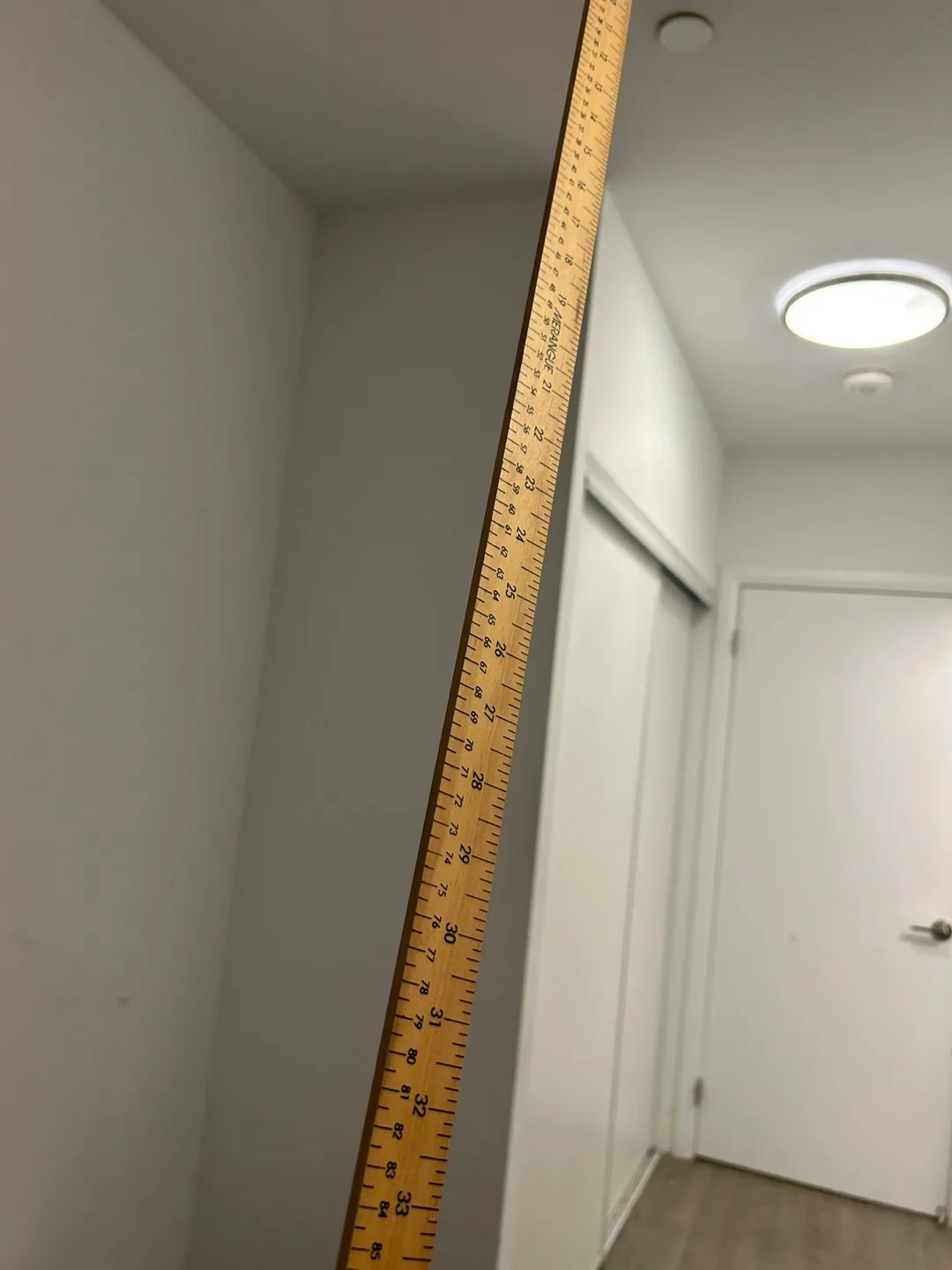 long ruler thumbnail