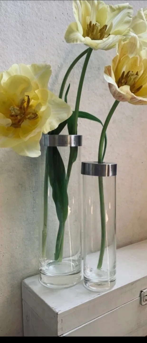 Set of 2 Modern Glass Vases image indicator(3)