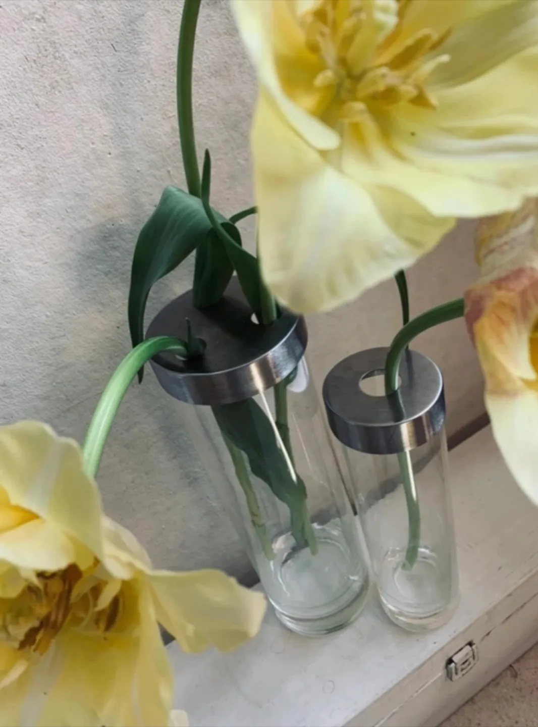 Set of 2 Modern Glass Vases image indicator(4)