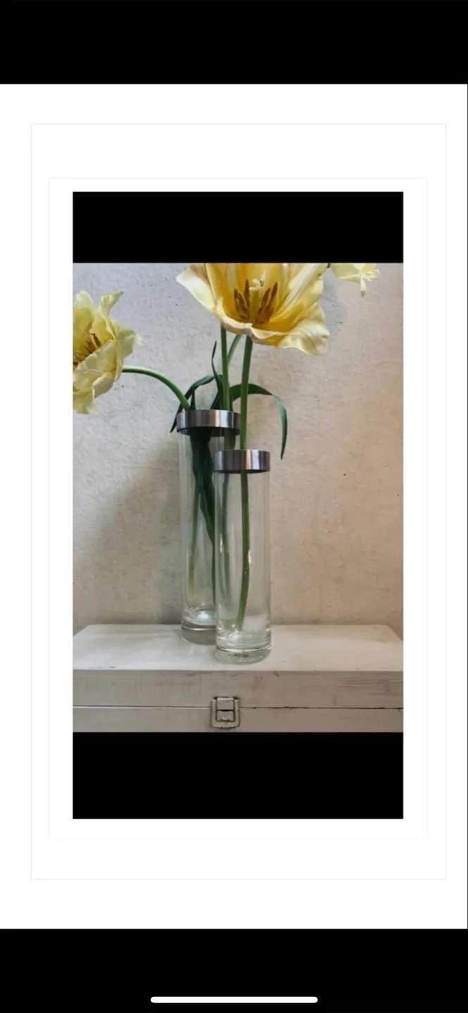Set of 2 Modern Glass Vases image indicator(6)