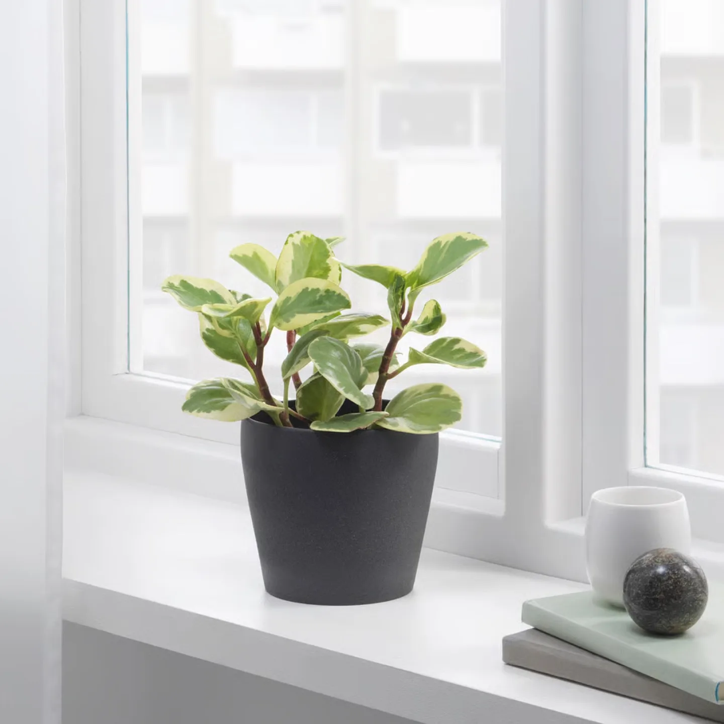 IKEA Plant Pot, Dark Grey - free thumbnail