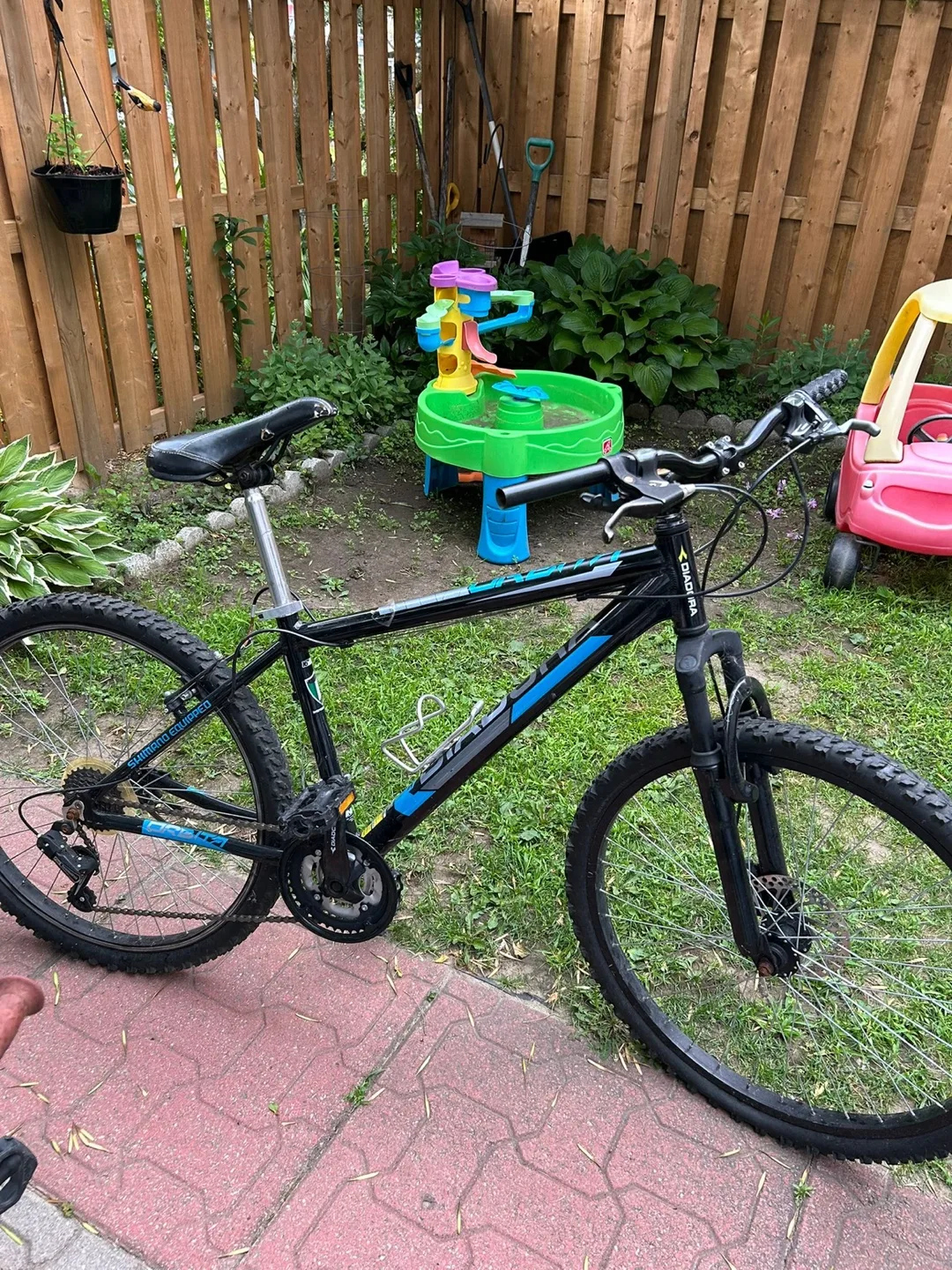 Diadora Mountain Bike - Black and Blue image indicator(2)