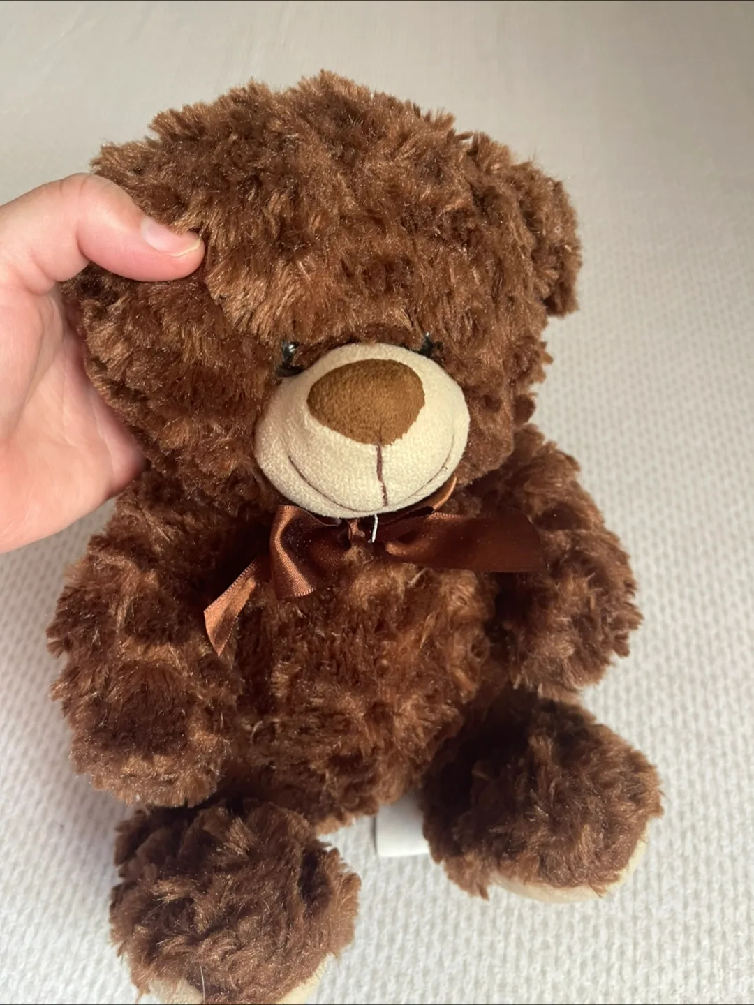 🇨🇦 Brown Teddy Bear with Bow image indicator(4)
