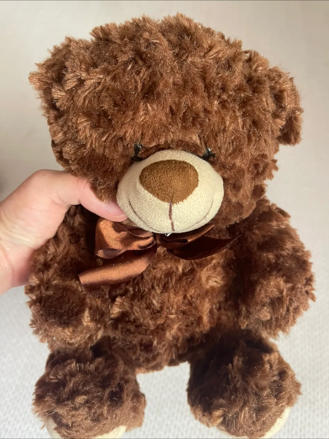 🇨🇦 Brown Teddy Bear with Bow thumbnail