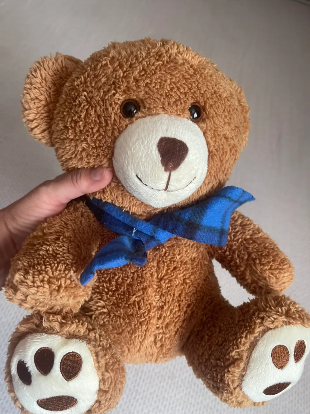 🇨🇦 Scarf Bear PR Plush Toy thumbnail