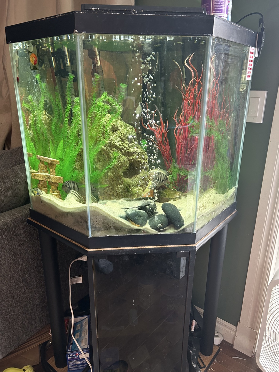 45 gallon Aquarium Fish Tank with Stand and more