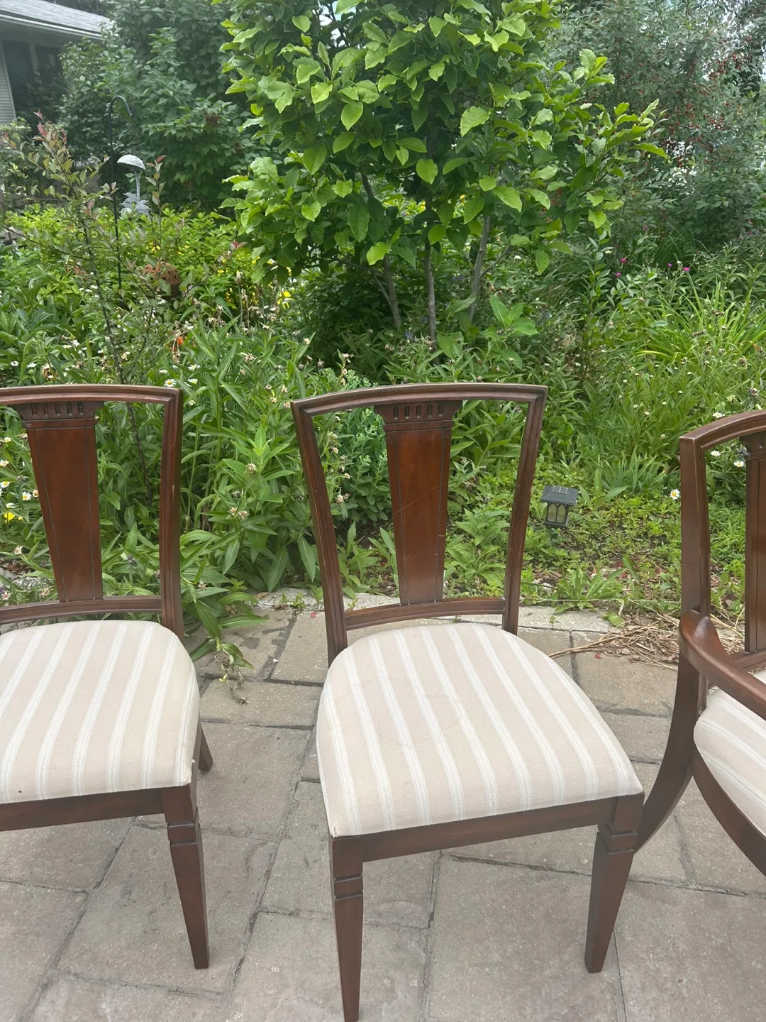 Wooden Dining Chairs with Striped Cushions image indicator(3)