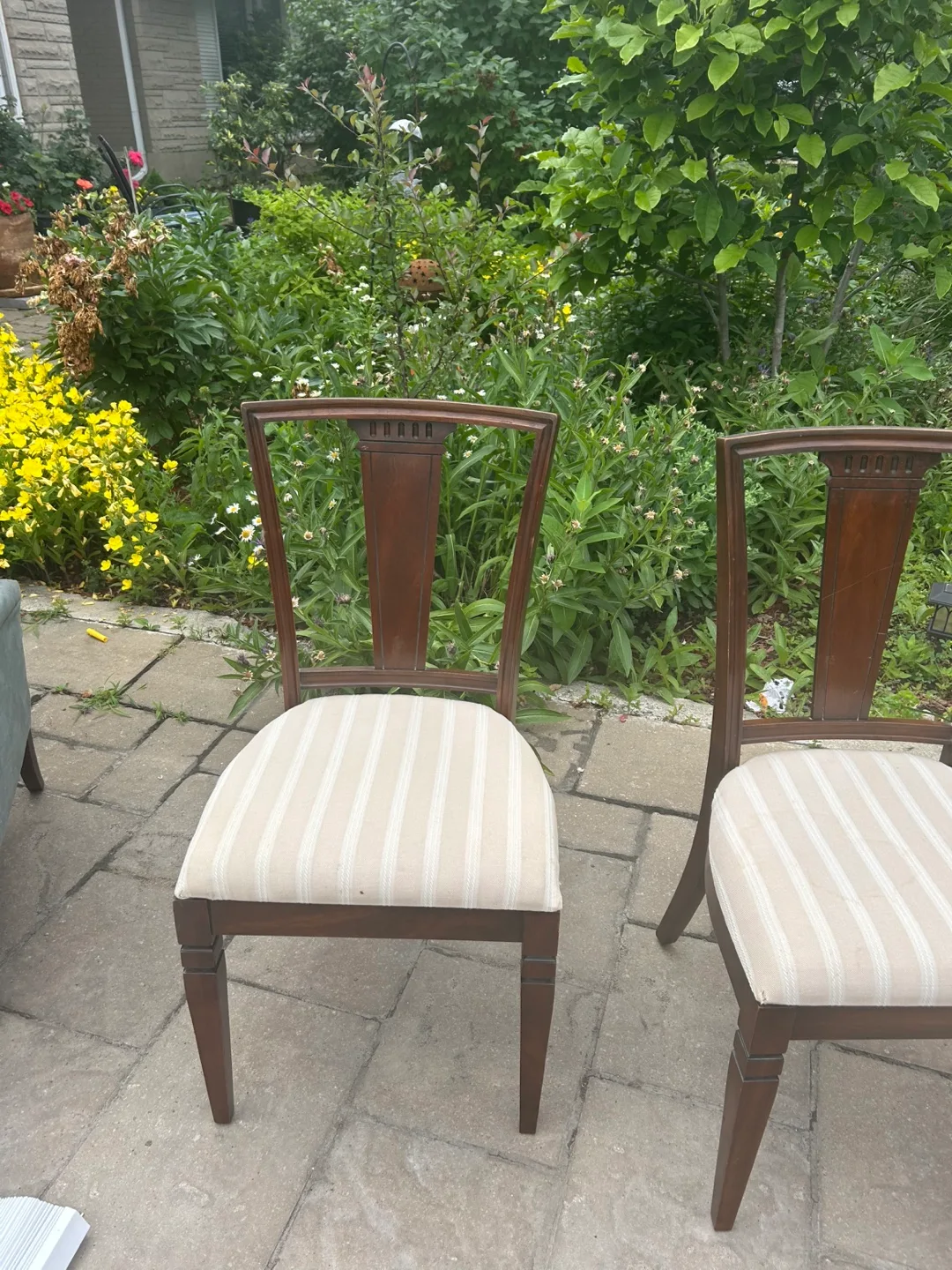 Wooden Dining Chairs with Striped Cushions thumbnail