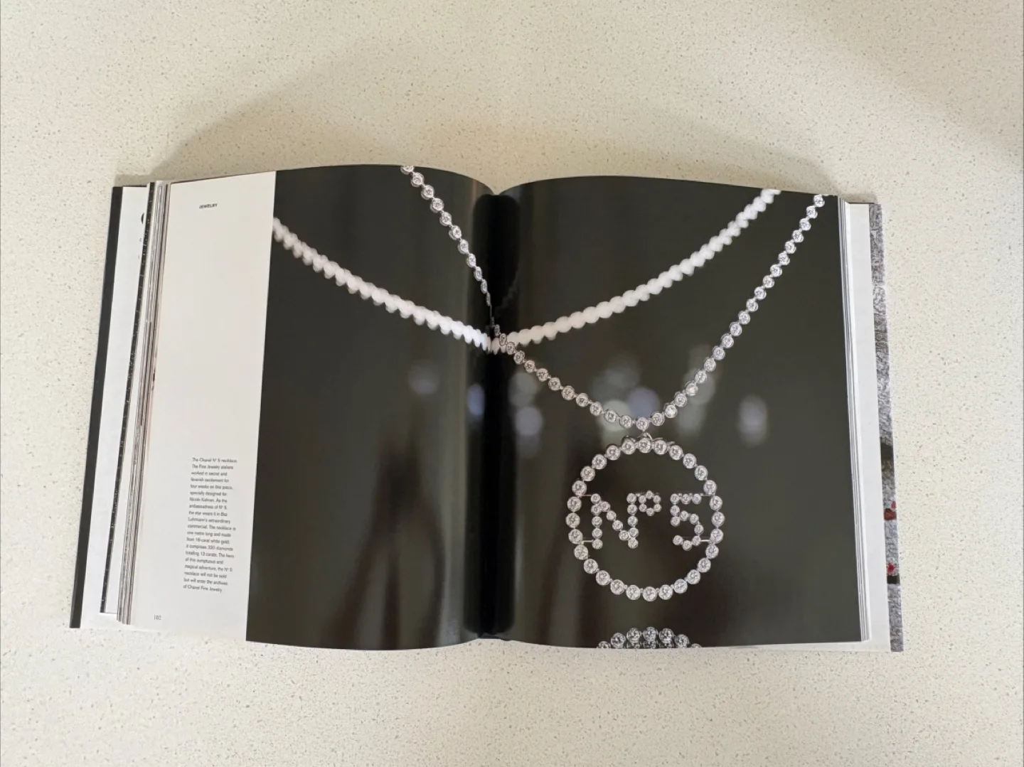 Chanel Collections and Creations Book image indicator(3)