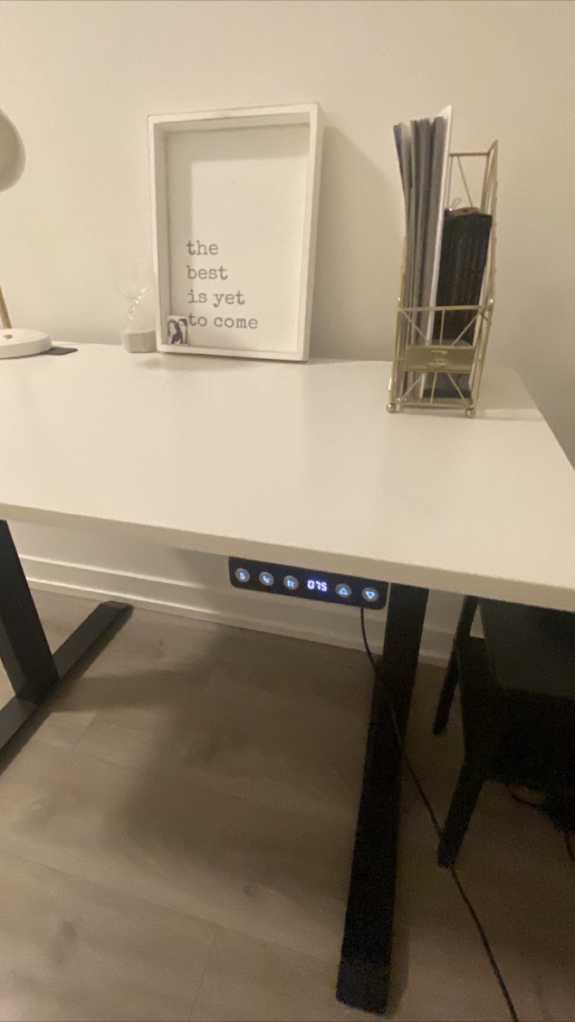 Adjustable Standing Desk - photo 2