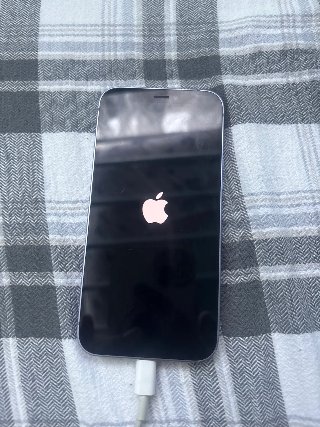 iPhone 12 mini- Purple 💜 PRICE DROP 📉 image indicator(5)