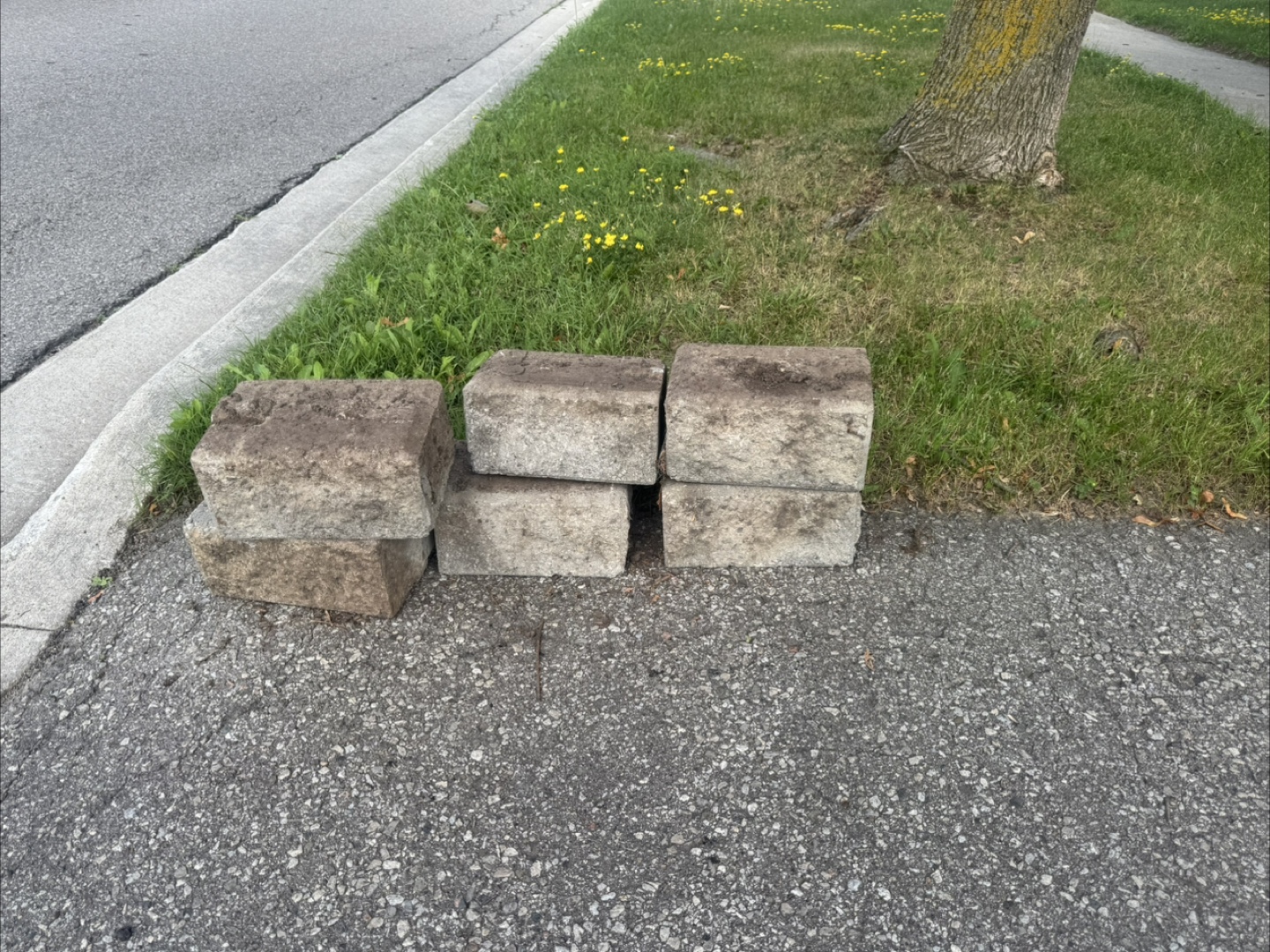 Concrete Pavers