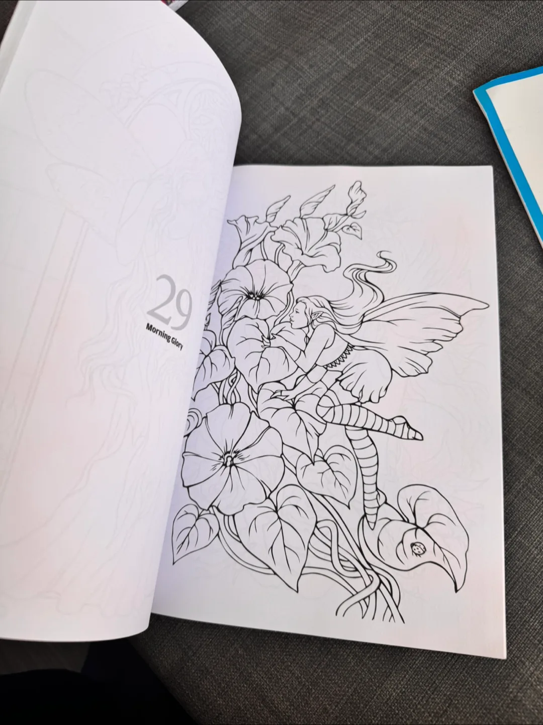 Colouring Heaven Fairies Special Book image indicator(3)