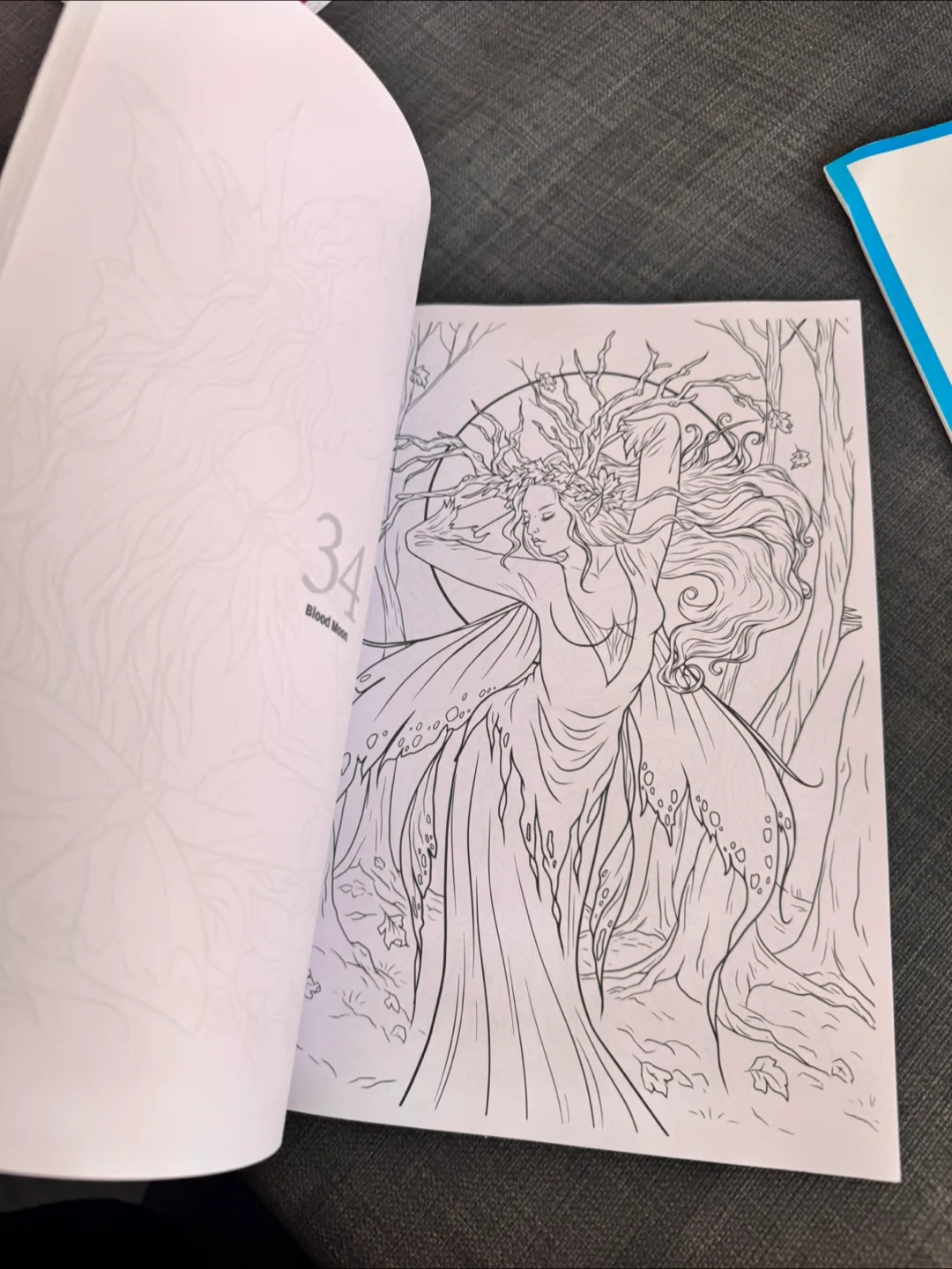 Colouring Heaven Fairies Special Book image indicator(2)