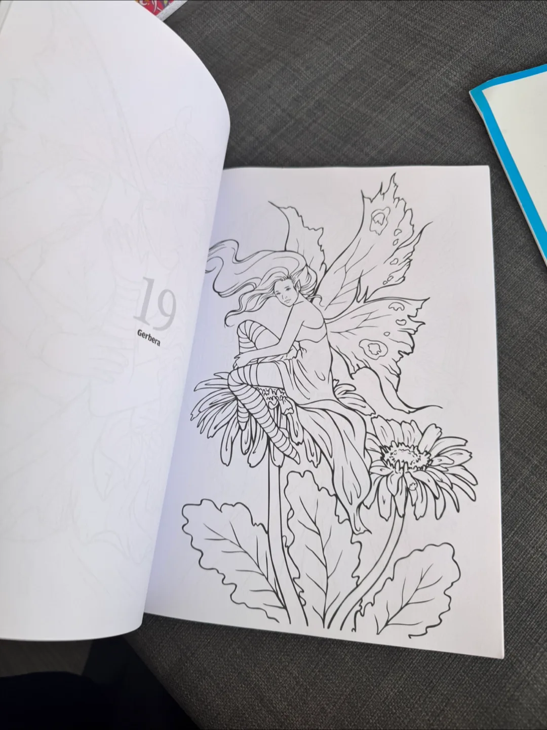 Colouring Heaven Fairies Special Book image indicator(4)