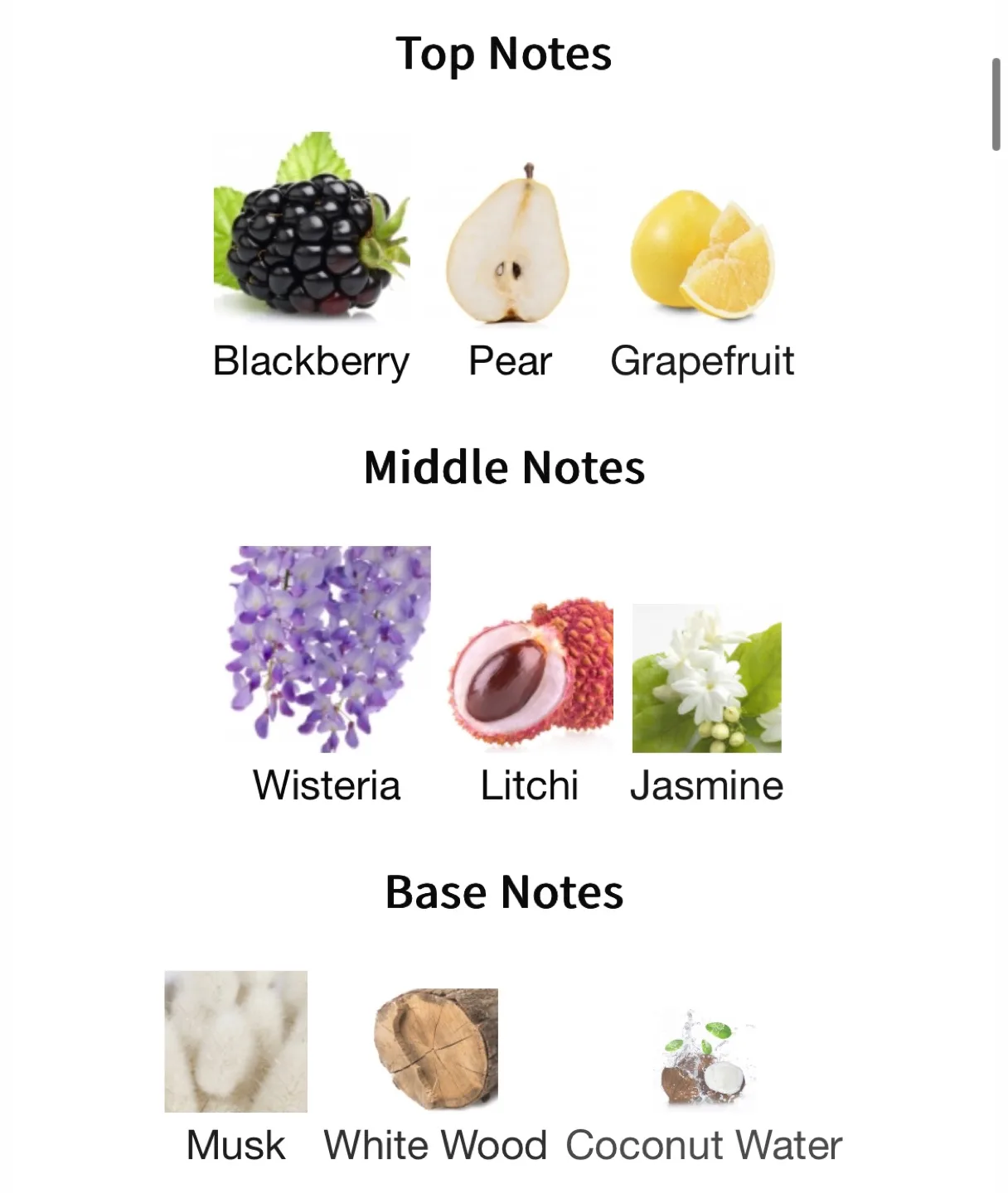 Marc Jacobs Daisy Dream - 100ml image indicator(4)