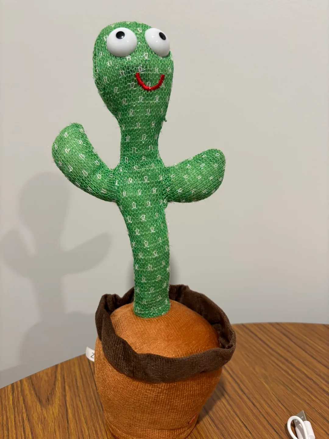 Dancing Cactus Toy thumbnail