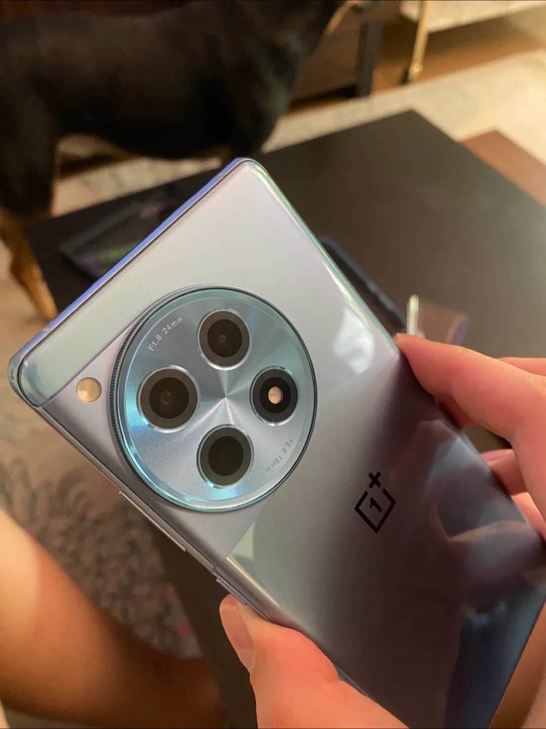 OnePlus 12R - Perfect Condition w Case! image indicator(4)