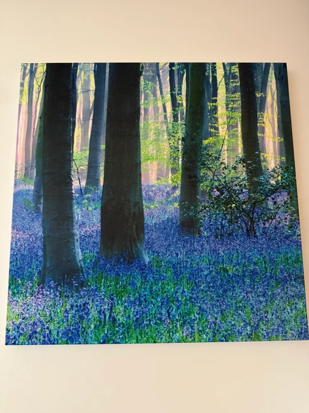 Wood canvas - Set of 2 thumbnail