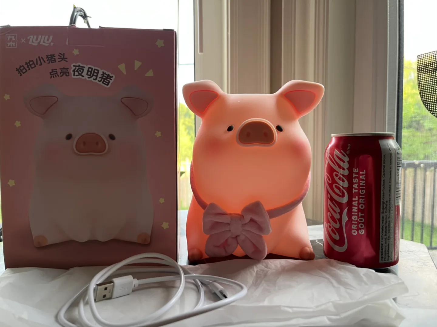 Big Night light image indicator(3)