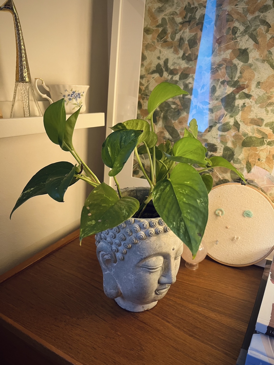 Buddha Head Concrete Planter + Golden Pothos Plant - photo 2