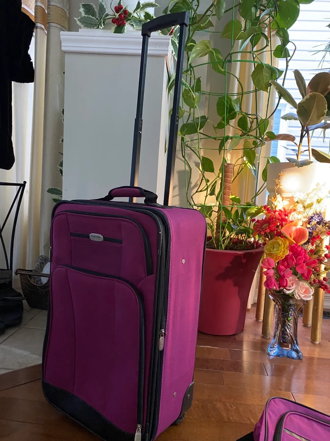 Sonoma Purple Luggage Set - Carry-on & Shoulder Bag image indicator(3)