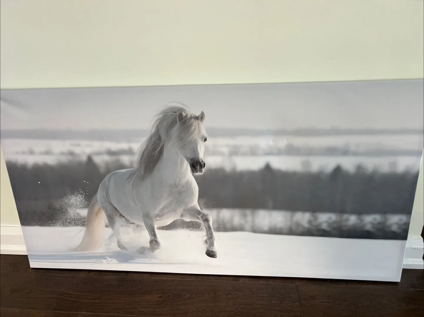 White Running Horse Framed Canvas thumbnail
