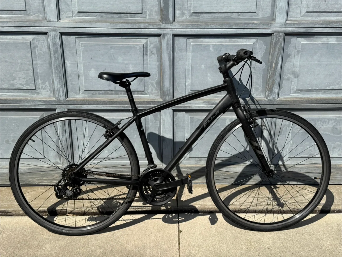 FUJI image indicator(3)