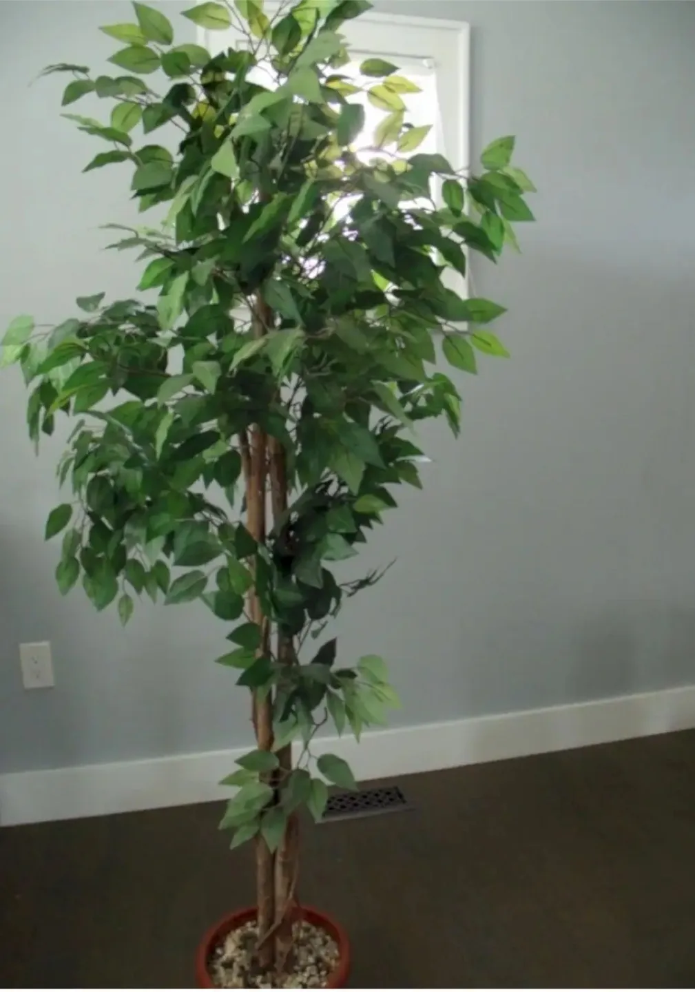 Faux Ficus Tree thumbnail