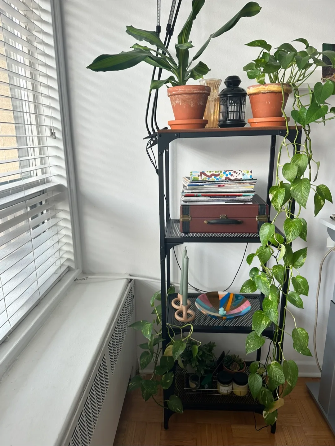 Shelf Unit / Bookcase image indicator(2)