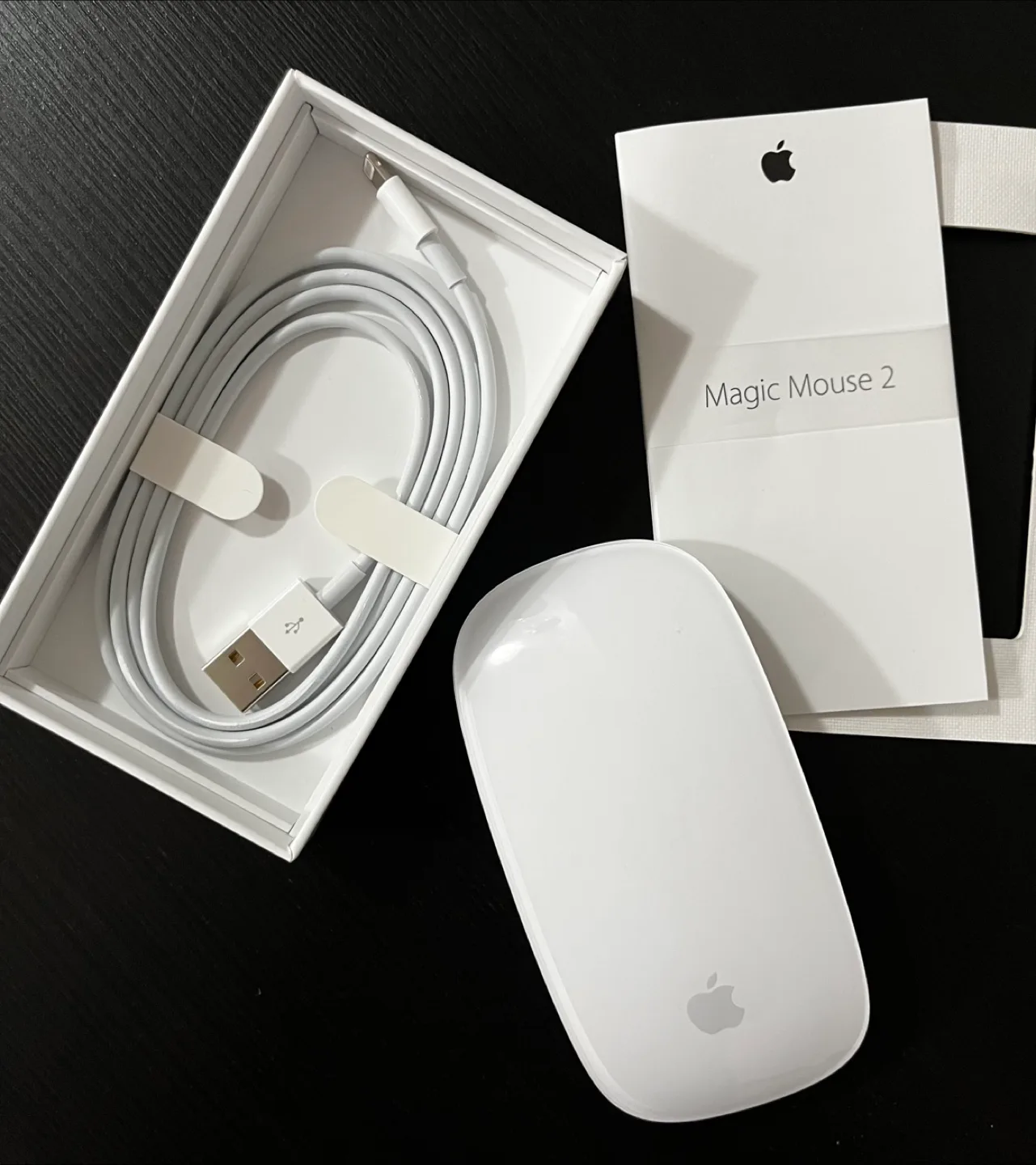 Apple Magic Mouse image indicator(2)