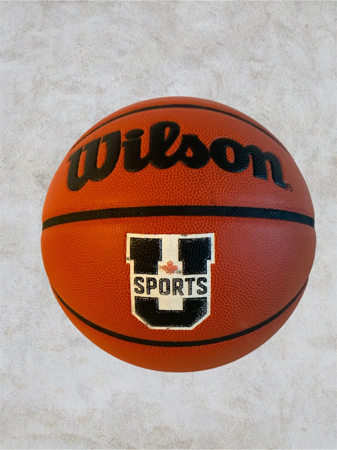 🏀 Wilson Evolution Advanced “U SPORTS” Basketball thumbnail