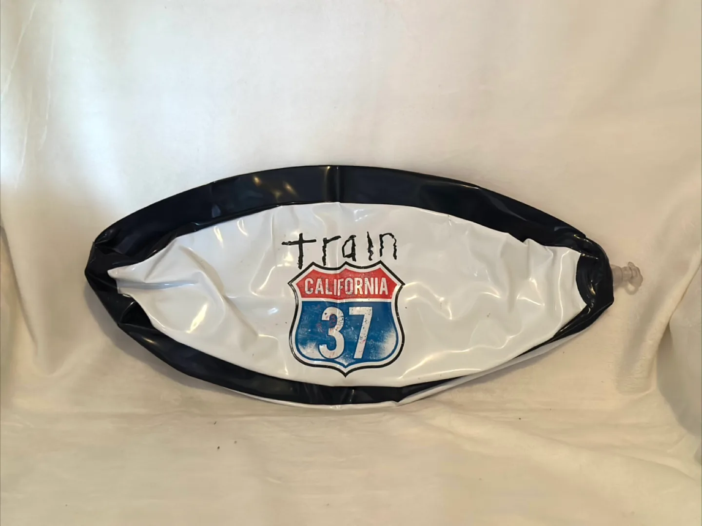 Train band Beach Ball - from Concert thumbnail