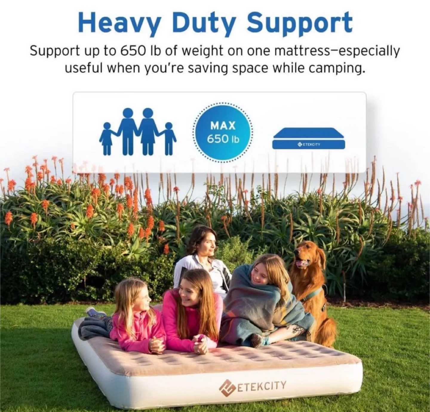 NEW 9” Queen Air Mattress, Cordless USB Air Pump Included image indicator(10)