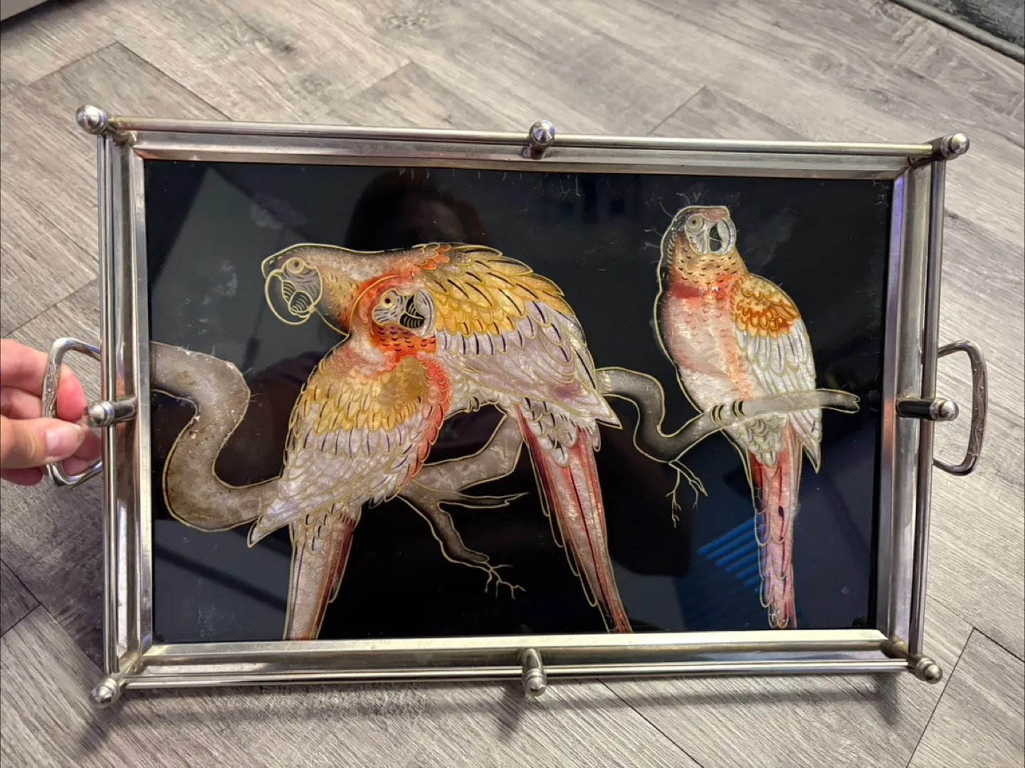 RARE Vintage Partots Metal and Glass Serving Tray thumbnail