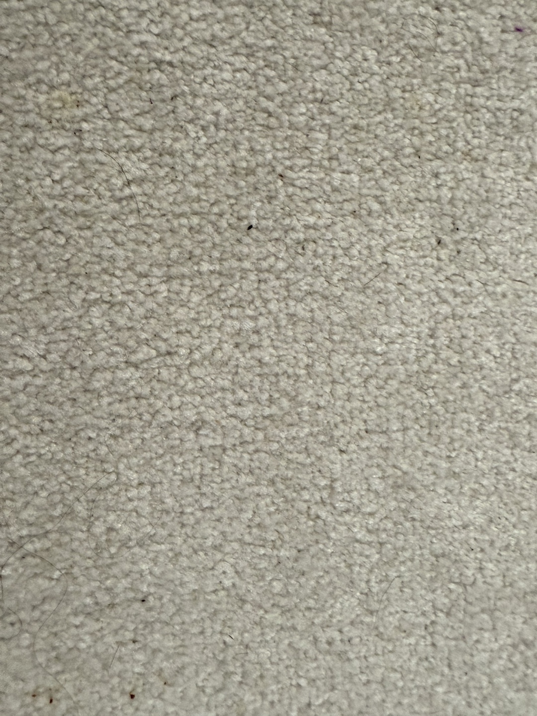 White Rug - photo 4
