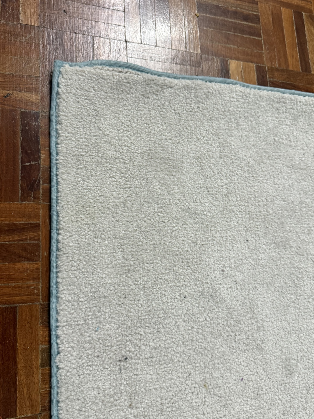 White Rug - photo 3