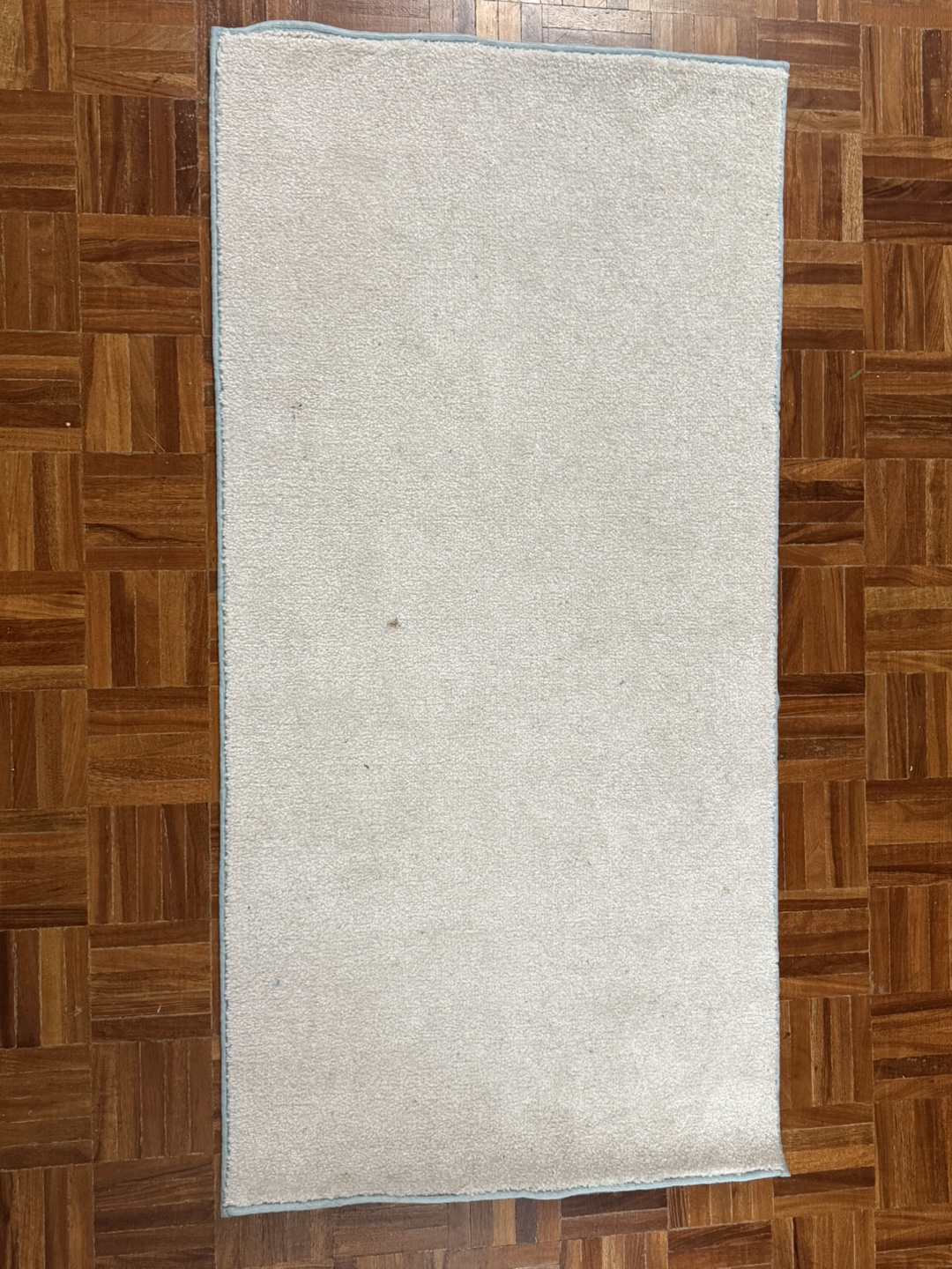White Rug